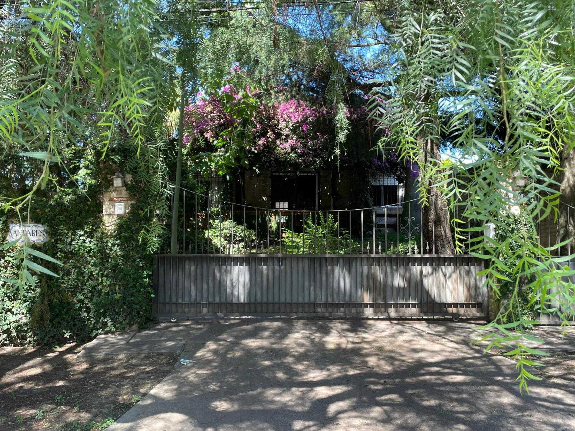 Magnolio Apartment Colonia del Sacramento Ngoại thất bức ảnh